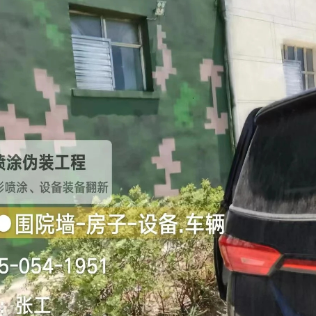 滨州数码迷彩漆施工